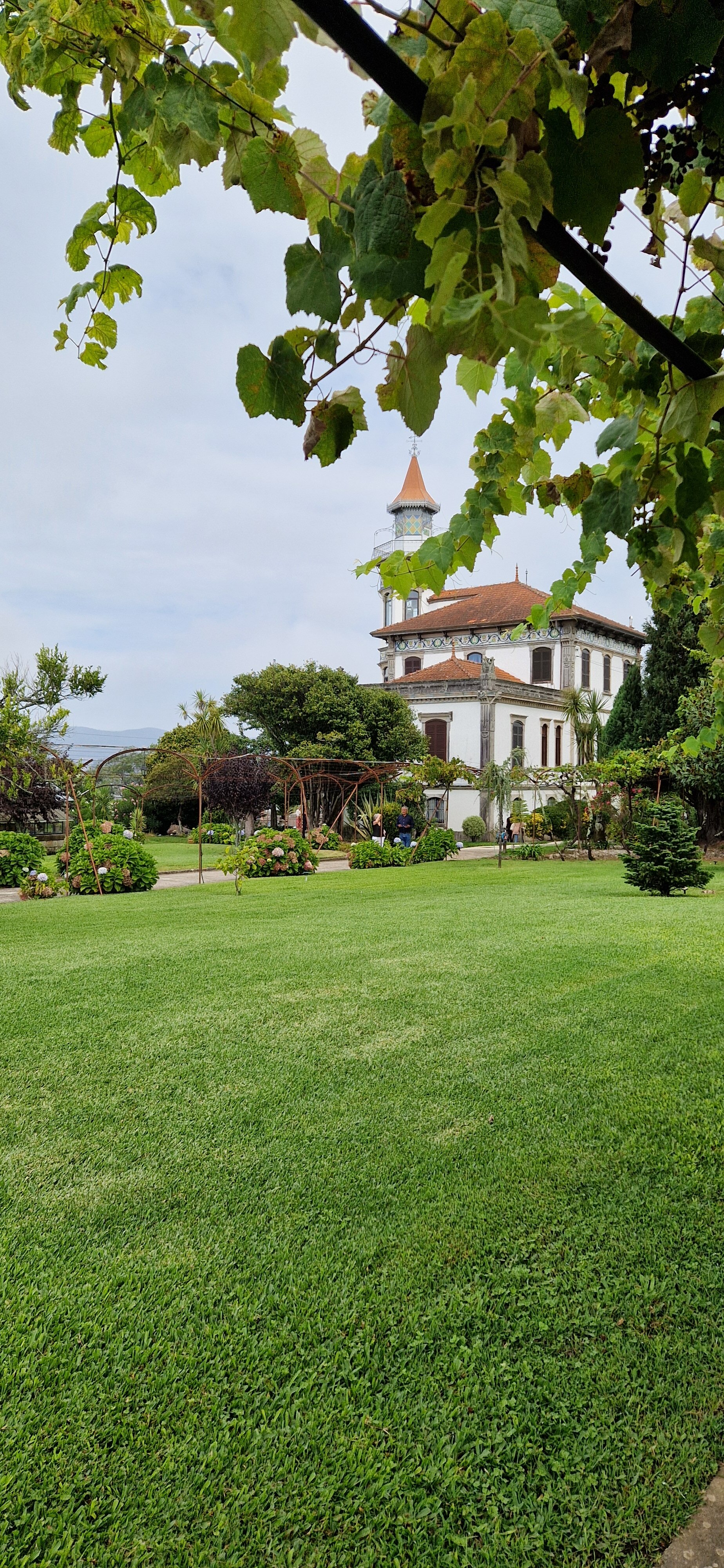 Villa Idalina-家庭/游戏区