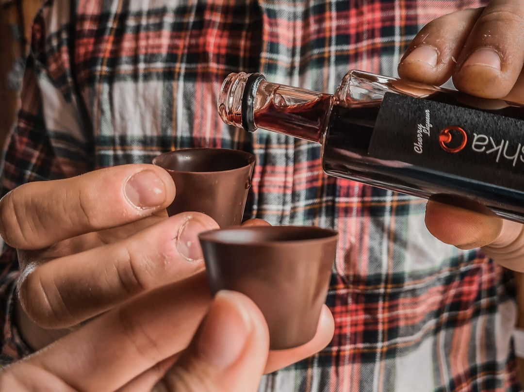 Berryshka Distillery and Chocolatier-Dolenjske Toplice必去景点