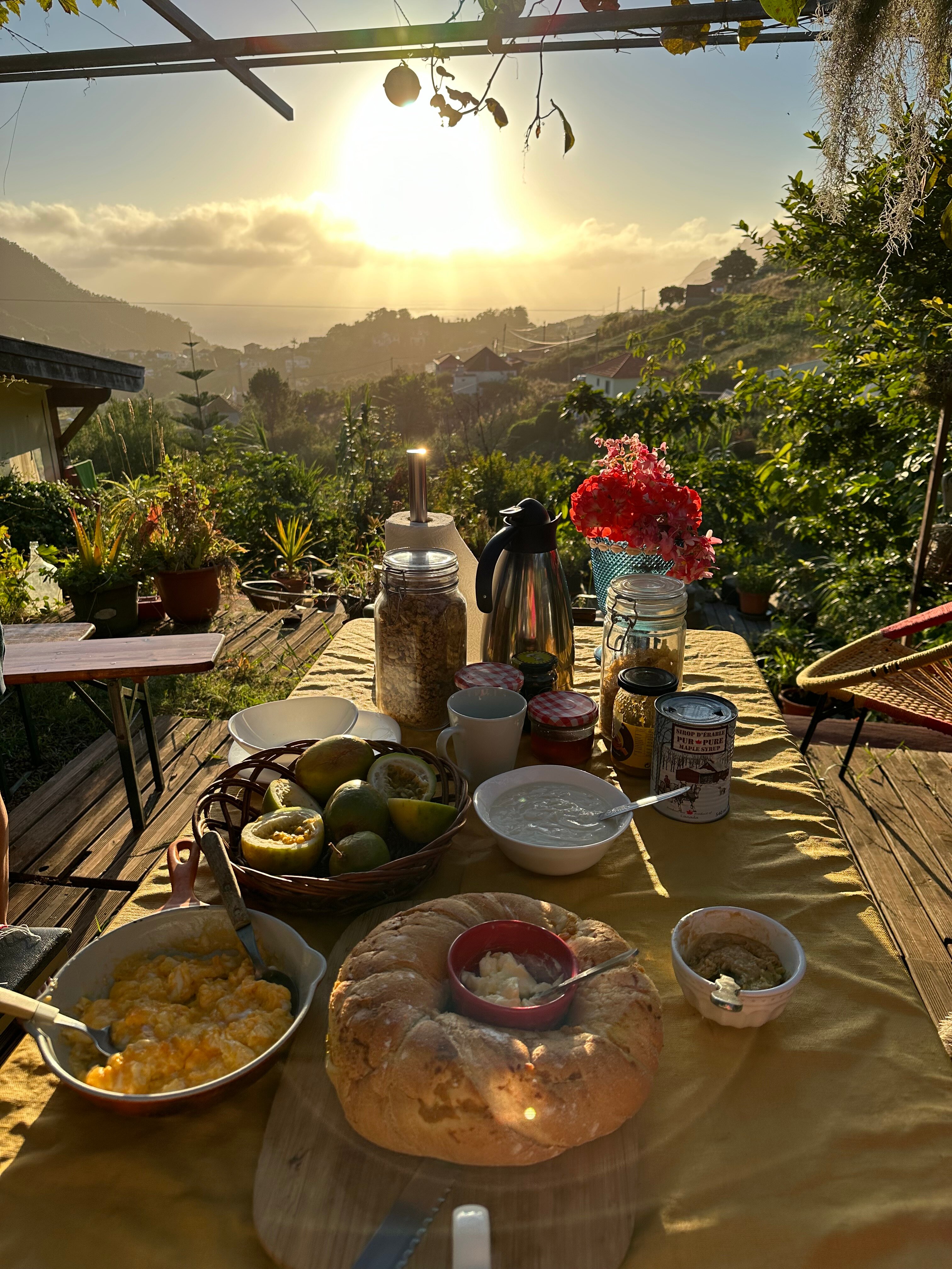 La Maison Ziazen-官方