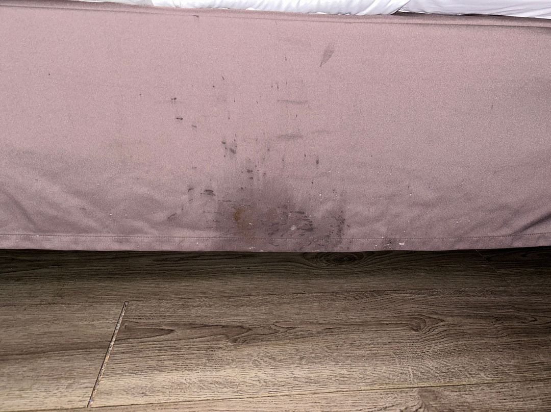 Super 8 by Wyndham Gainesville I-75 Hospital/University Area主图