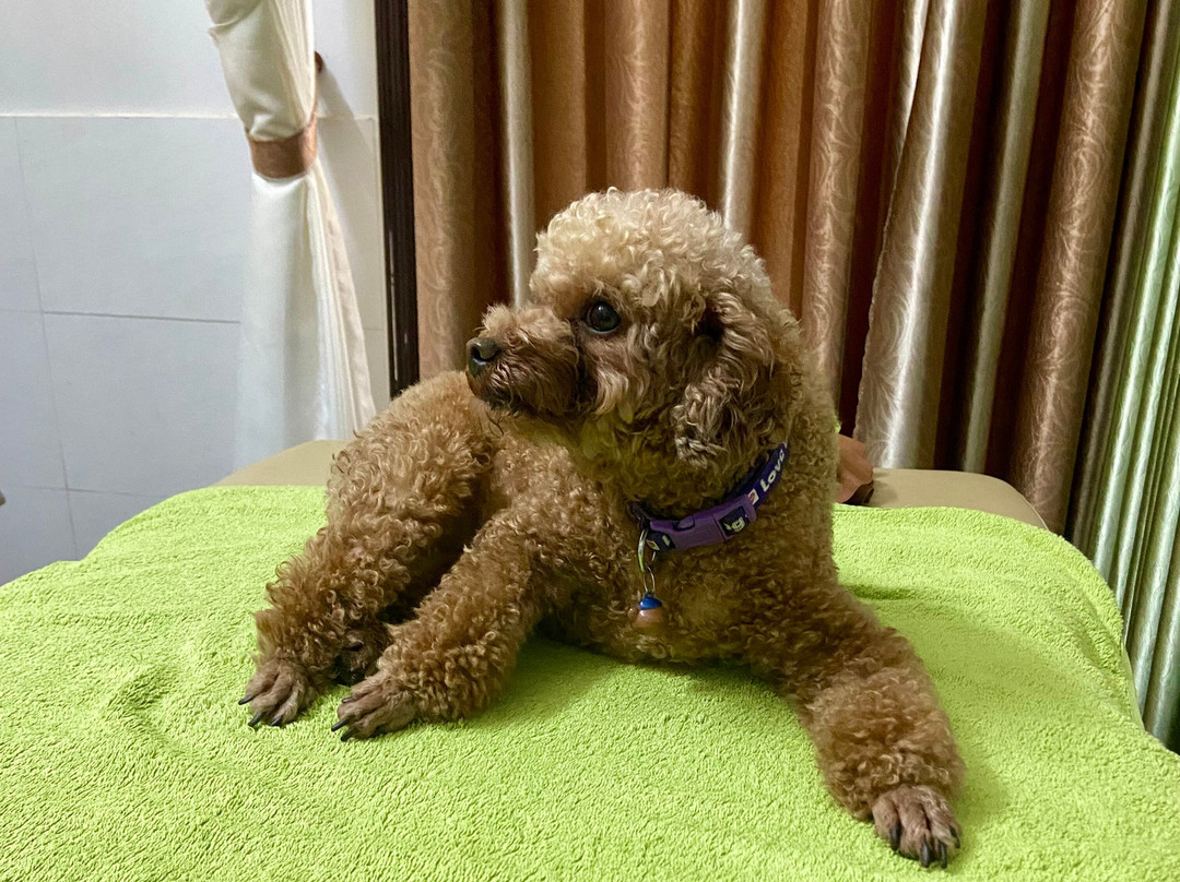 Heaven Garden Spa-会安必去景点