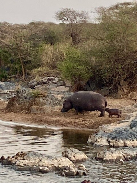 Tanzania Wildheart Adventures-阿鲁沙必去景点