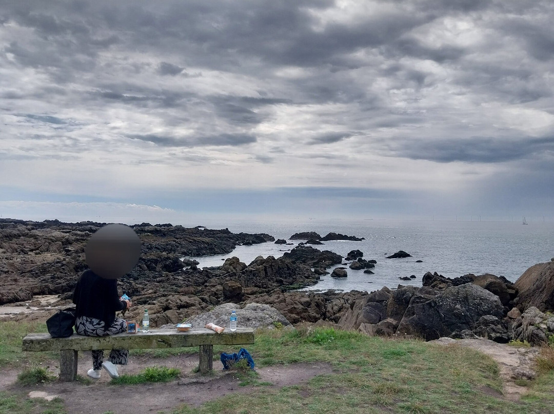 La Cote Sauvage du Croisic景点图片