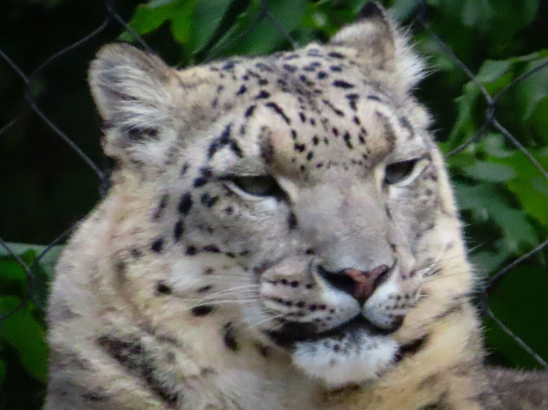 Zoo de Granby-Granby必去景点