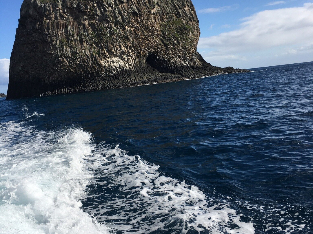 Advance Fishing-金斯敦必去景点