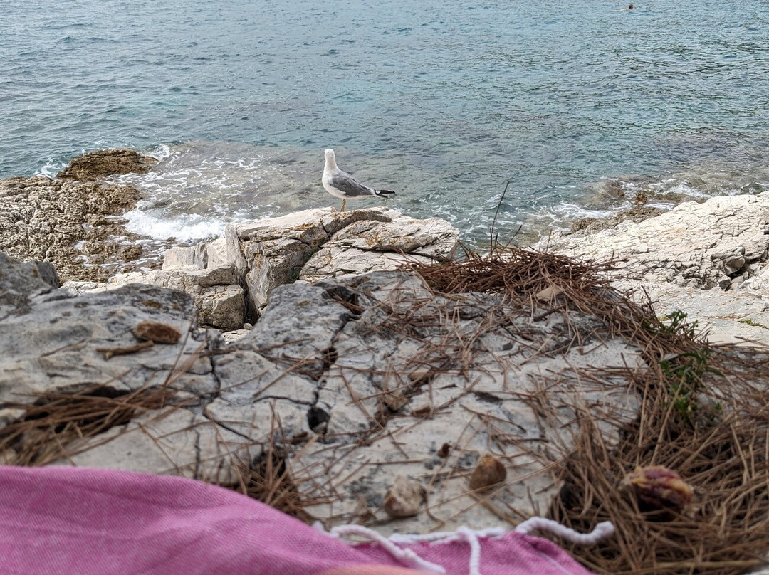 Veli Zal Beach-马利露辛必去景点