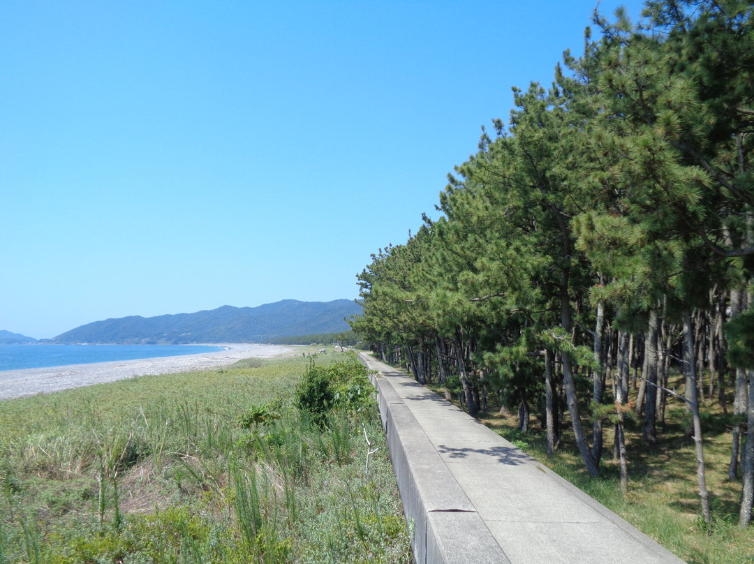 Enjugahama-美滨町必去景点