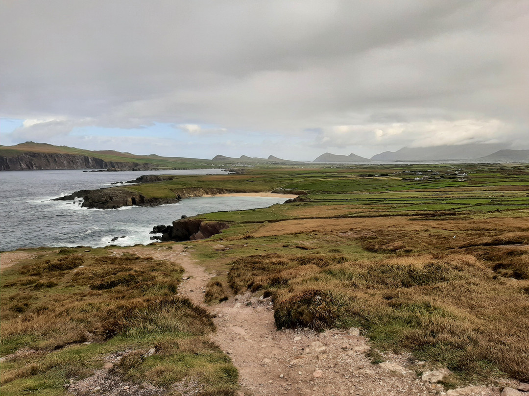 Kerry Coaches-基拉尼必去景点