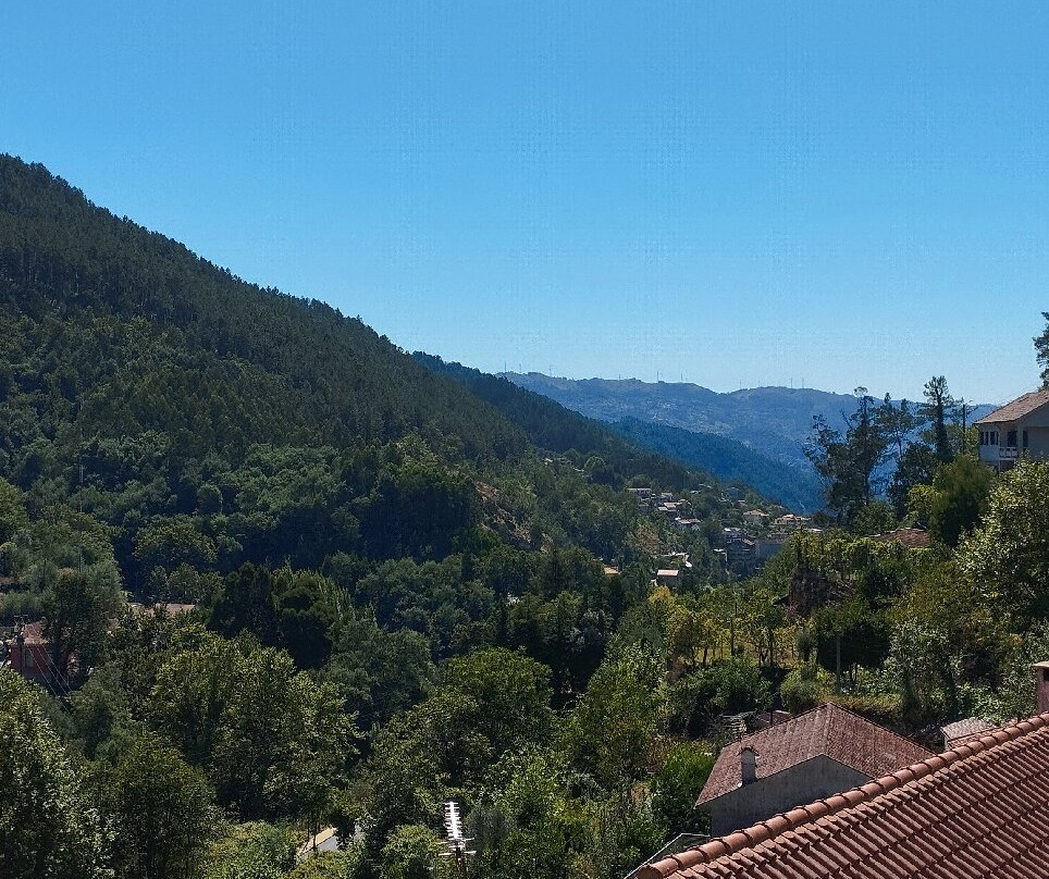 Adelaide Hotel主图