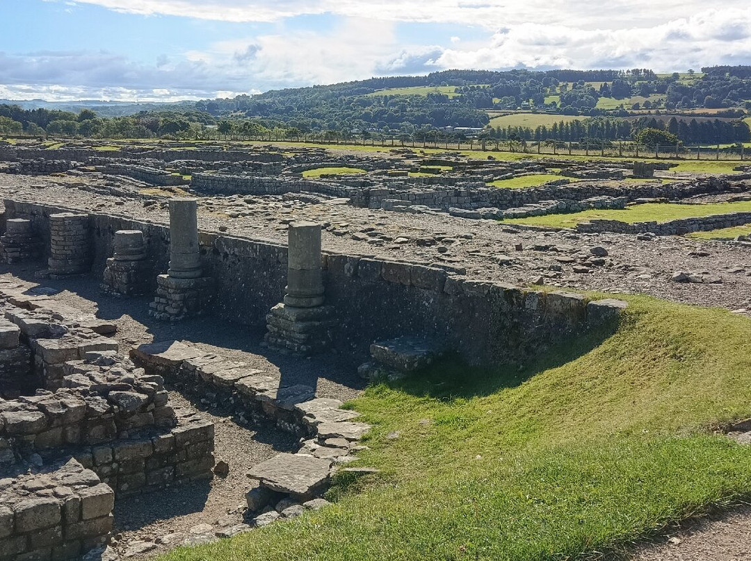 Corbridge Roman Town景点图片