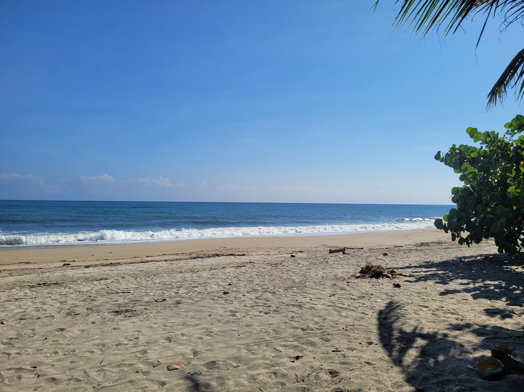 Tayrona Juancho House Hostel