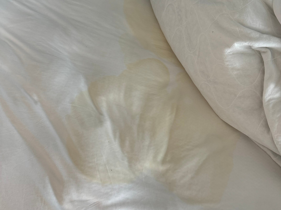 Aloft Denver North Westminster主图