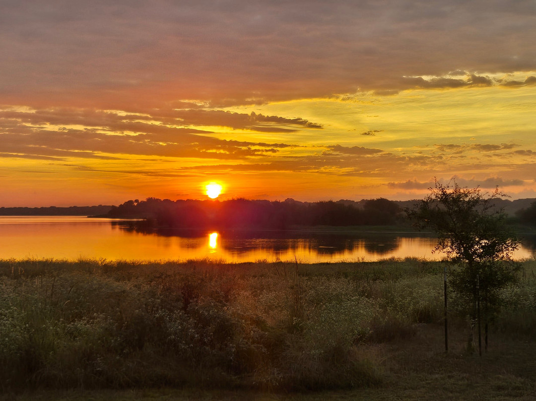 Lake Somerville State Park - Nails Creek Unit-Ledbetter必去景点