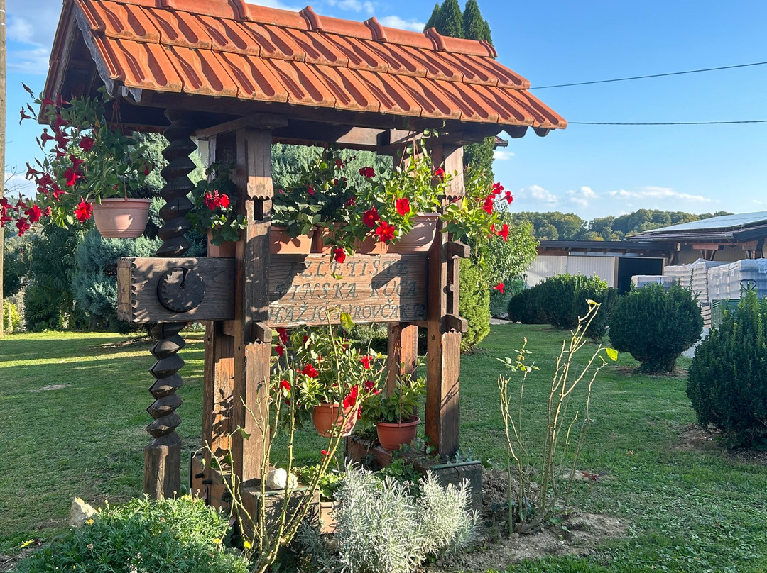 Vinska Kuća Hažić景点图片