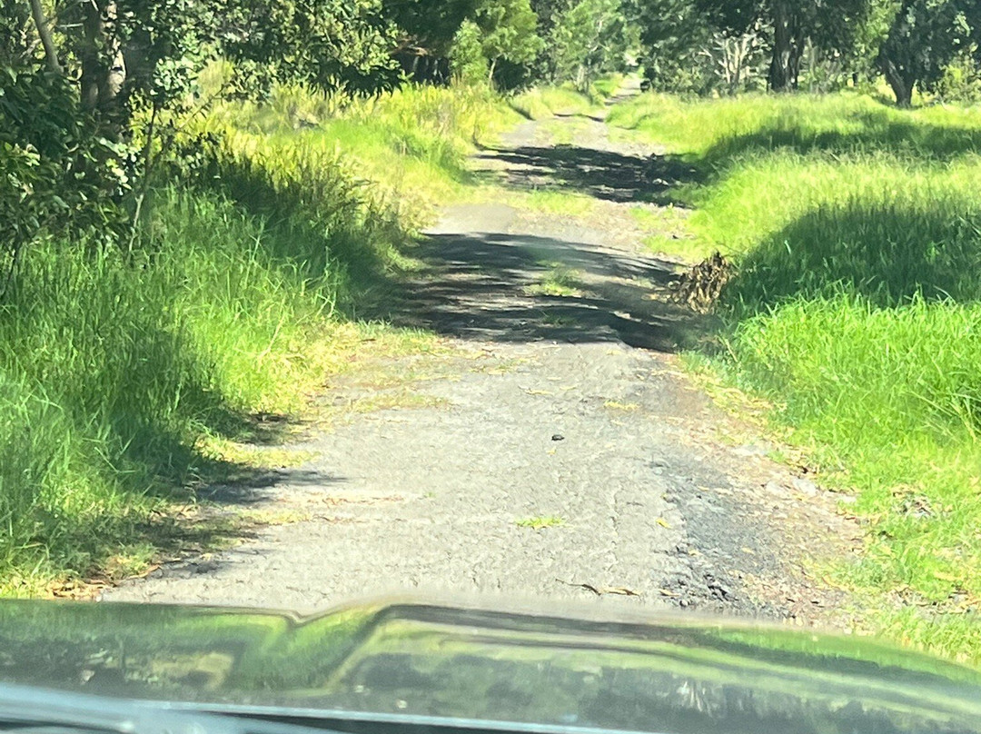 Hawai'i Volcanoes National Park Kahuku Unit-纳勒胡必去景点