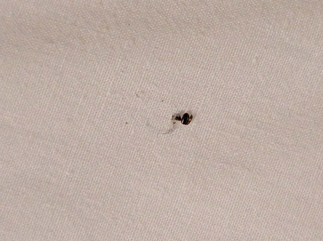 Fairfield Inn & Suites Jasper主图