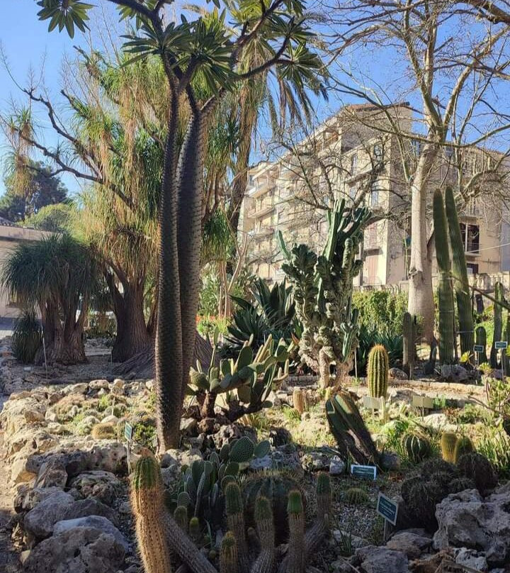 Orto Botanico dell'Università di Catania景点图片