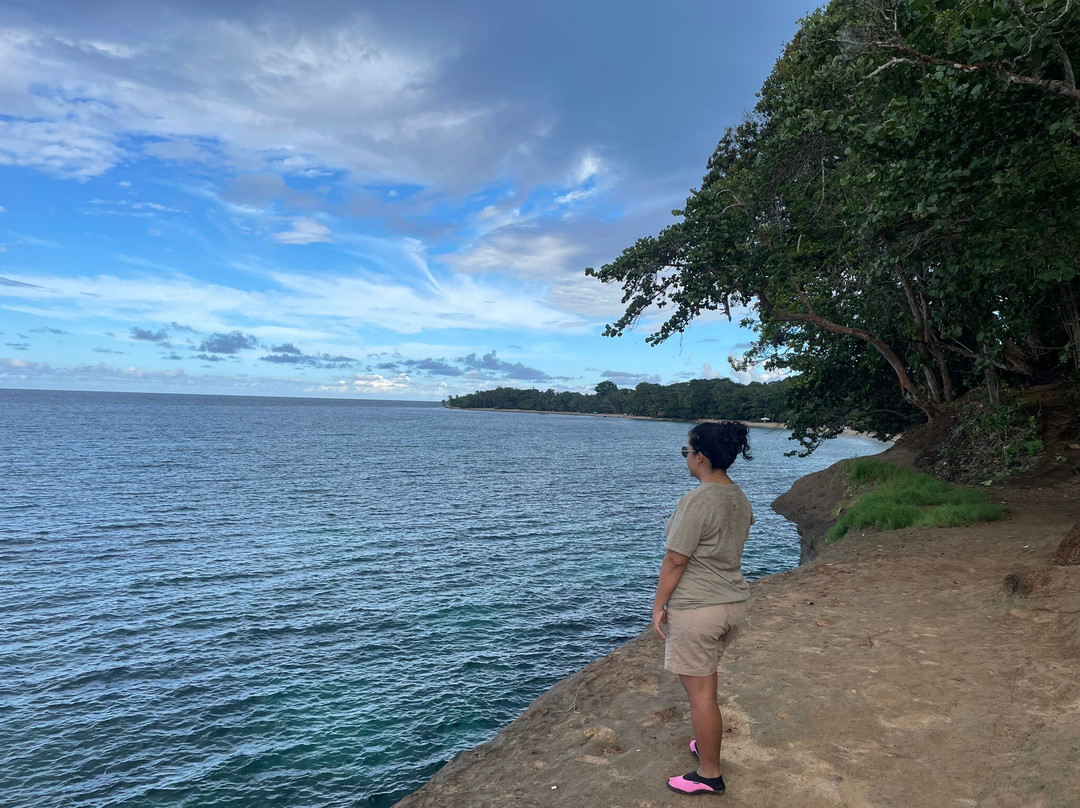 Playa Punta Uva景点图片