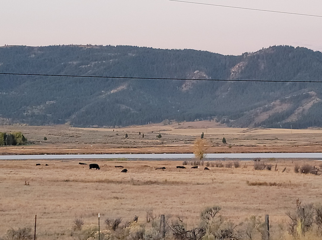 Cobblestone Inn & Suites - Soda Springs主图