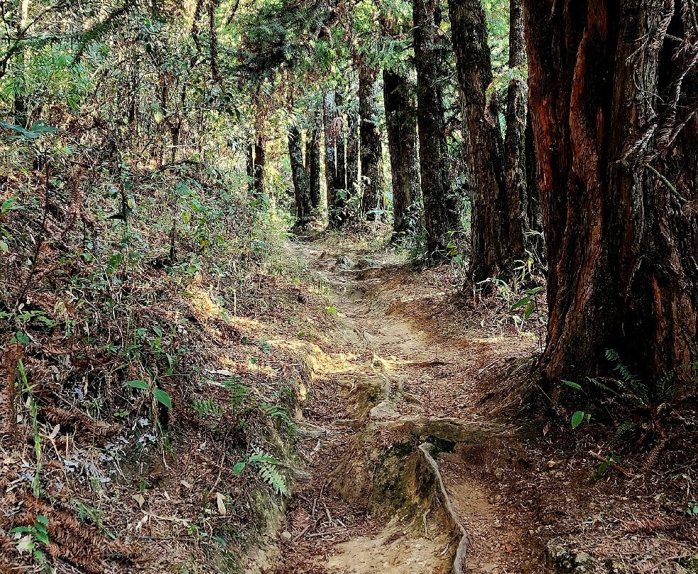 Pedra da Onca-Sao Francisco Xavier必去景点