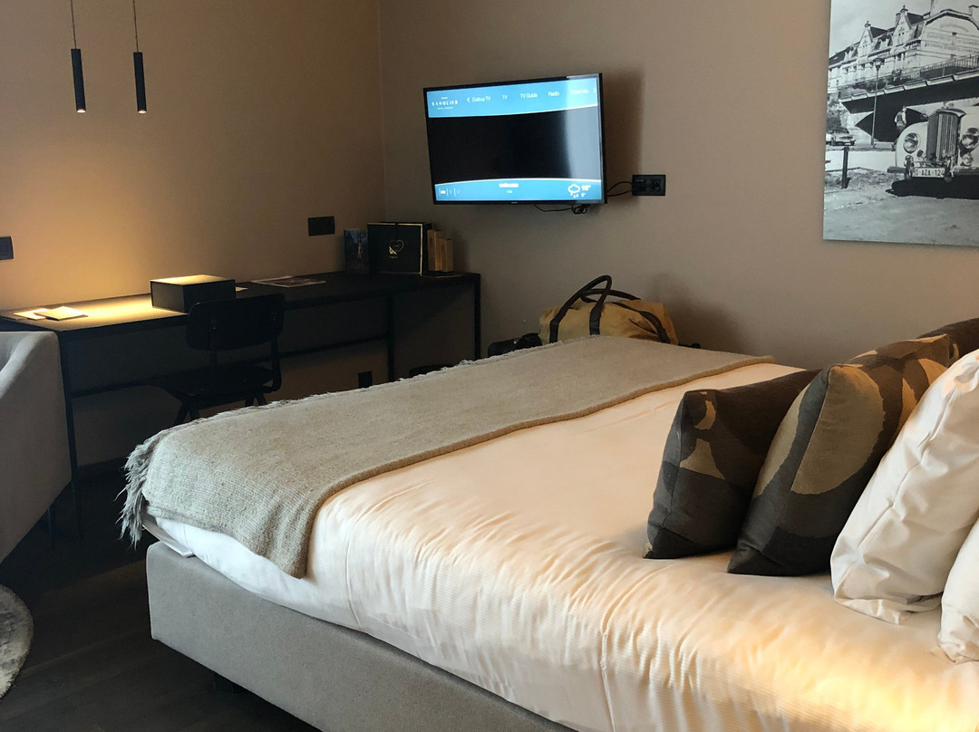 Hotel Sanglier主图