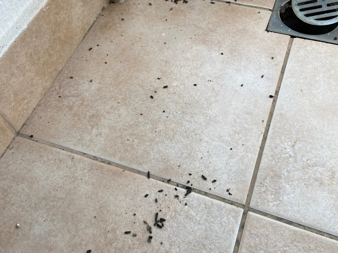 Corfu Club Apartments主图