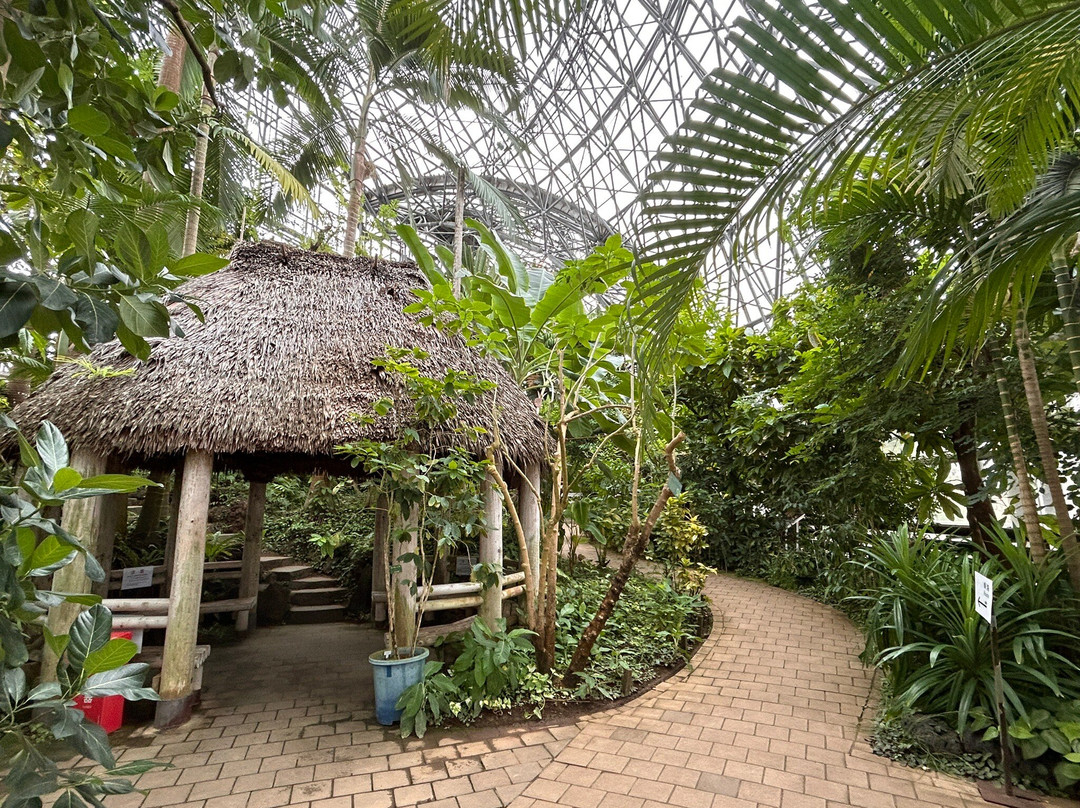 梦之岛热带植物室-江东区必去景点