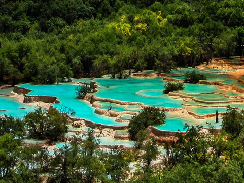 Manjing Travel-成都必去景点