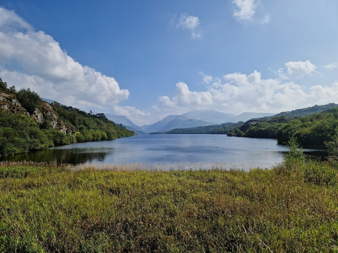 Llyn Padarn景点图片