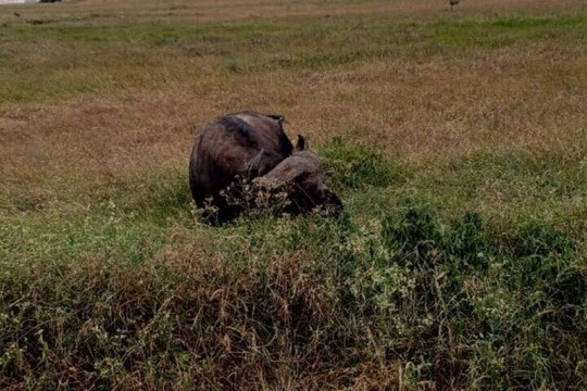 Afrivine Tours and Travels-Eldoret必去景点