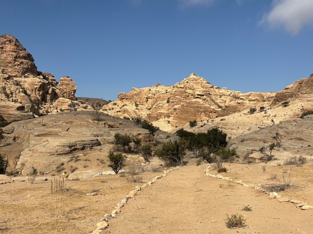 Dana Rose tours-Dana必去景点