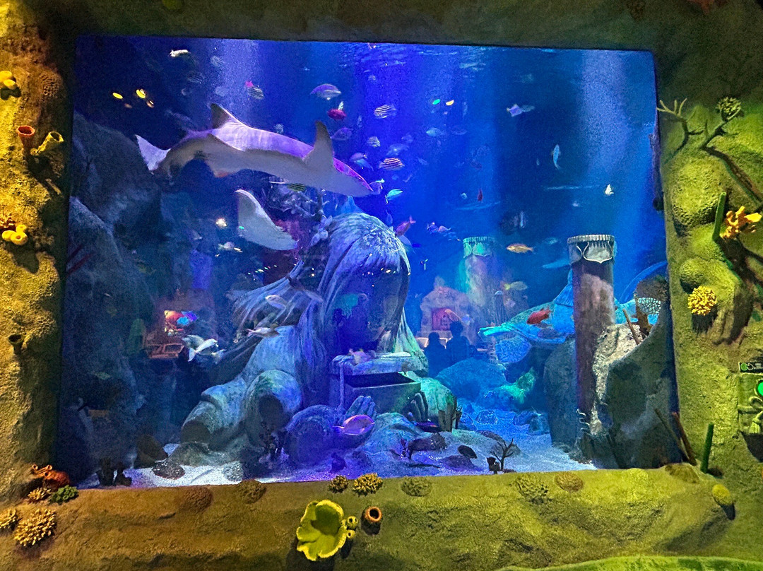 SEA LIFE Nagoya-名古屋市必去景点