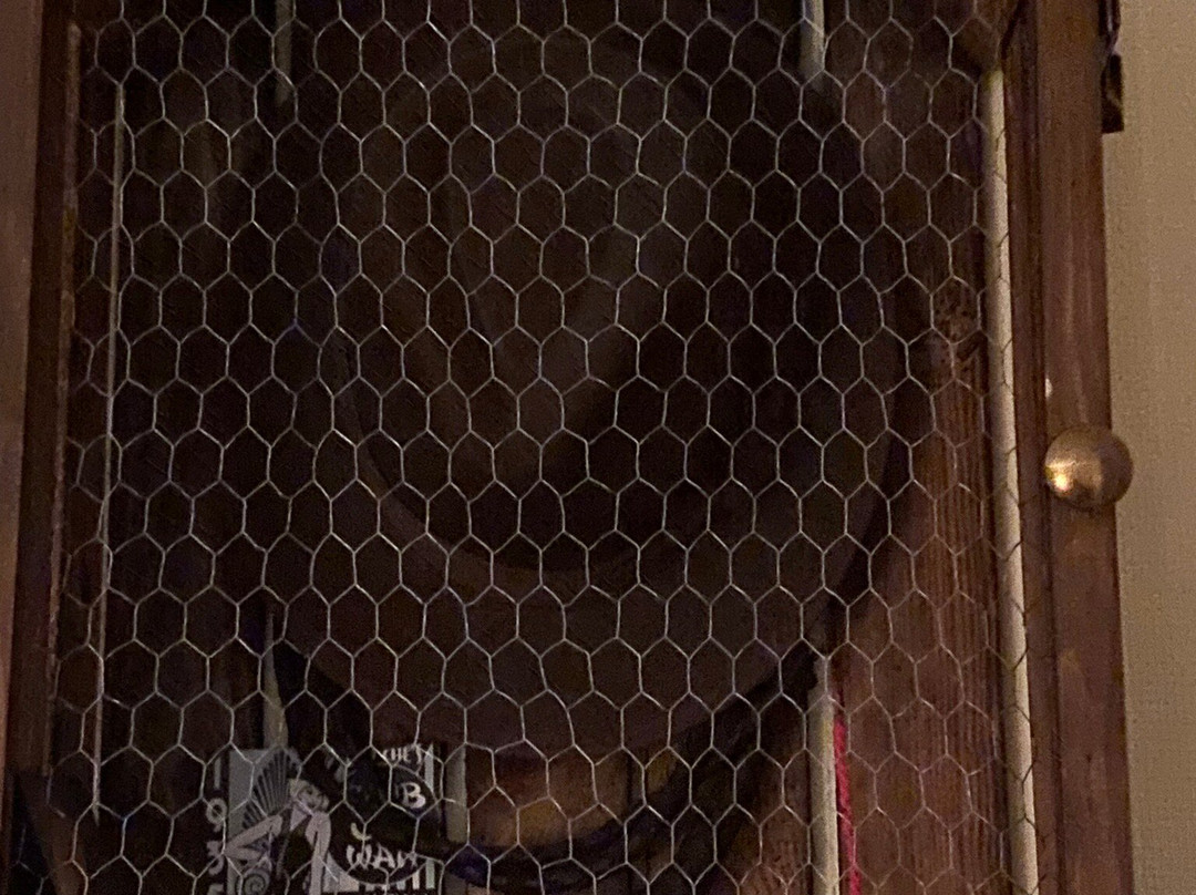 皮克派赫酒店主图