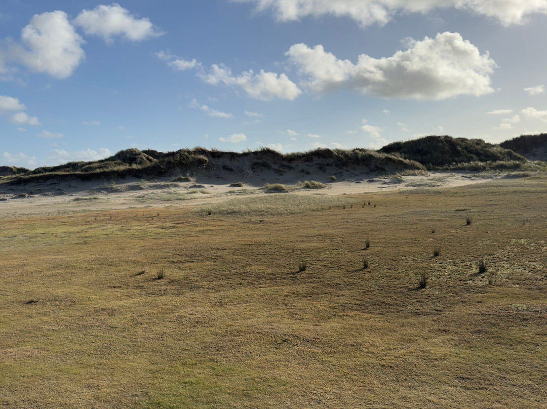 Jan Plezier Huifkartochten Texel-De Waal必去景点