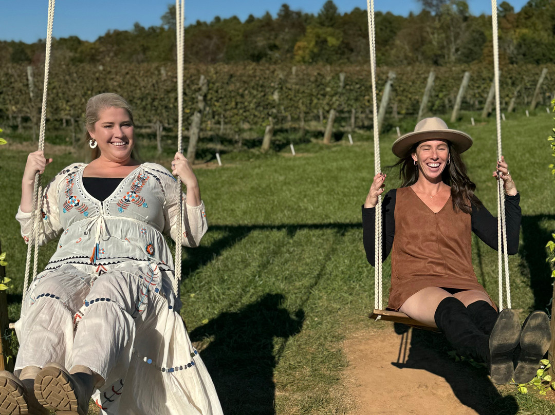 Central Virginia Wine Tours & Transportation-Orange必去景点