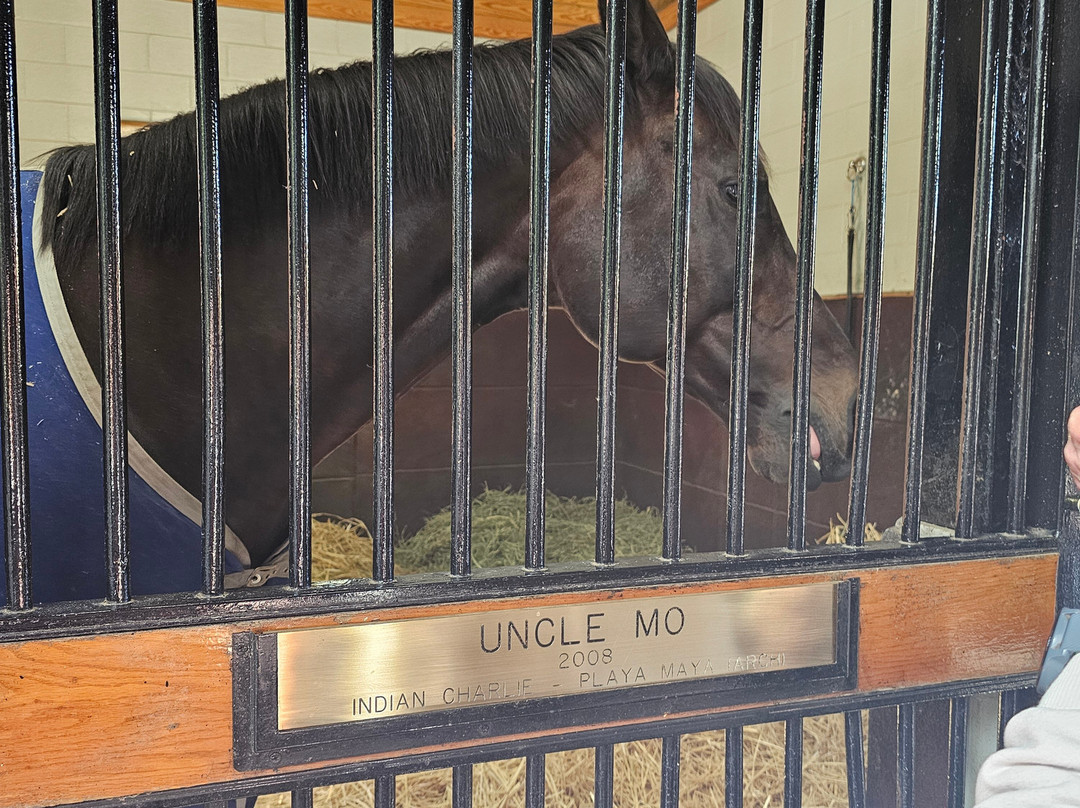 Coolmore America - Ashford Stud-Versailles必去景点