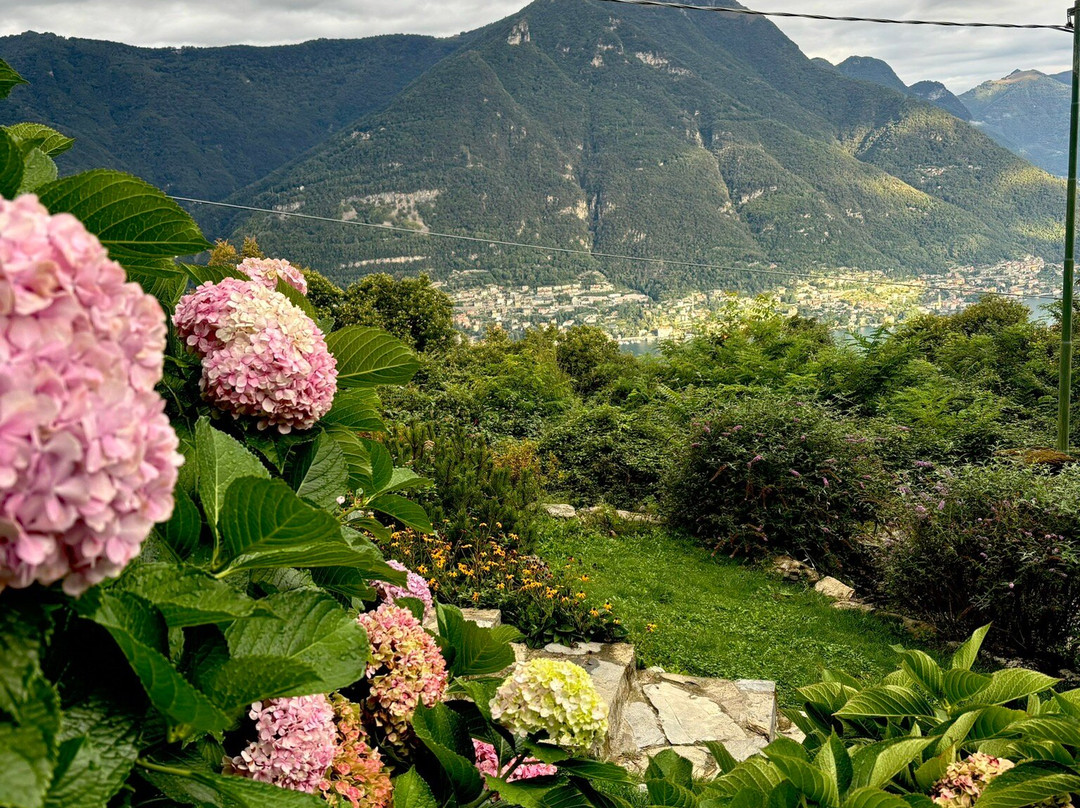 Essentia Guest House主图