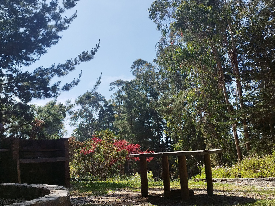 Surf lodge Punta de Lobos主图