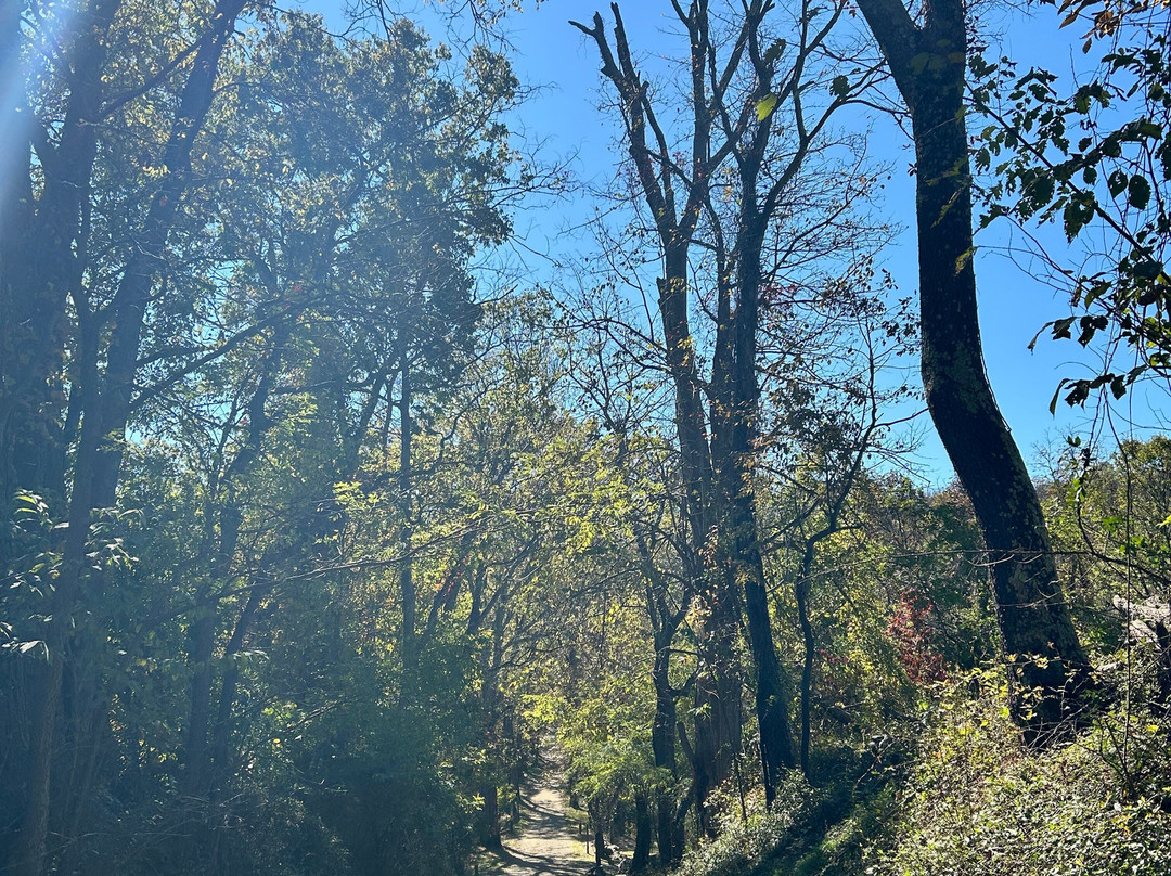 Sky Meadows State Park-Delaplane必去景点