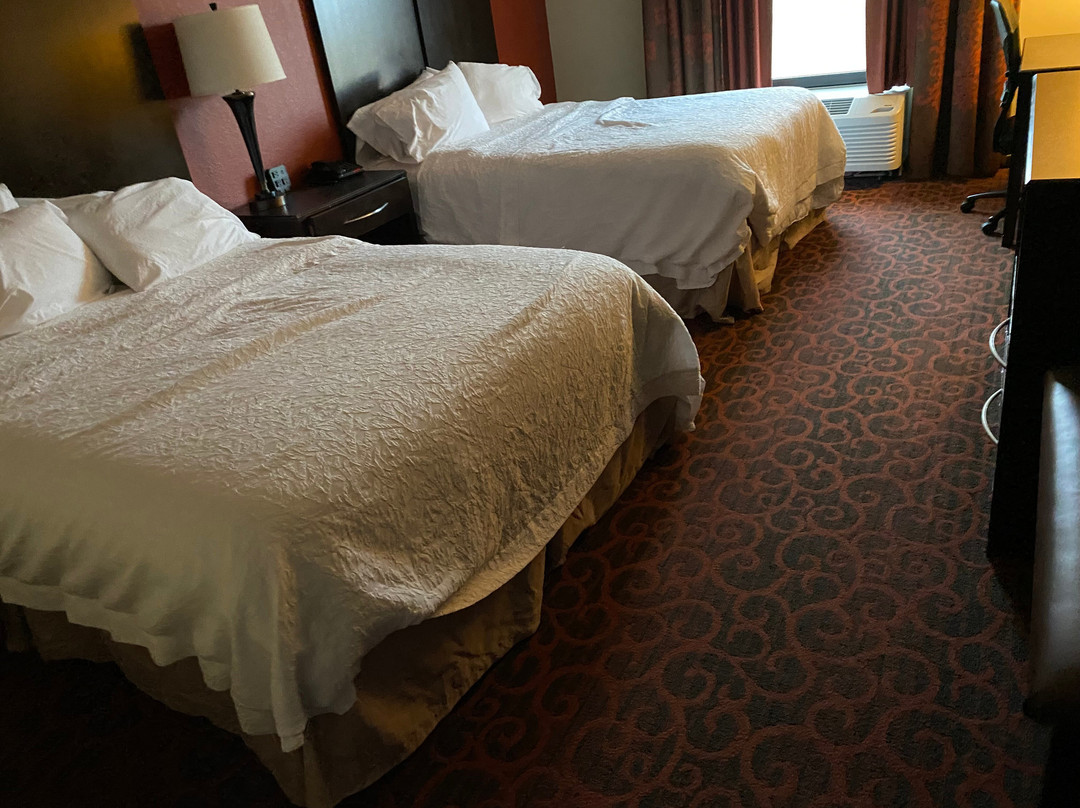 艾克城希尔顿恒庭旅馆&套房酒店主图