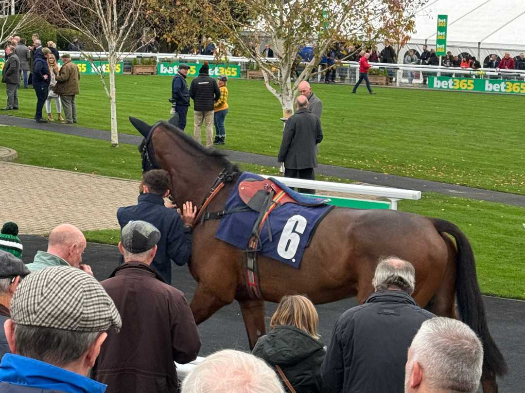 Wetherby Racecourse-韦瑟比必去景点