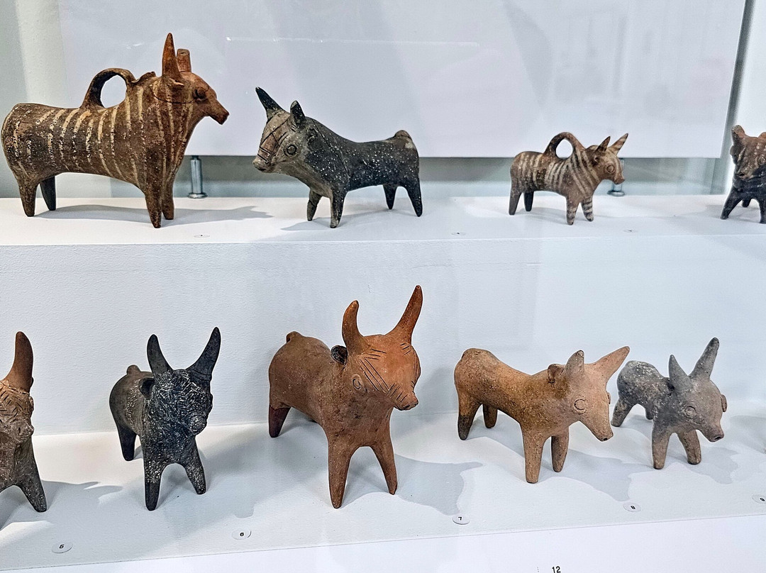 Larnaka District Archaeological Museum-拉纳加必去景点