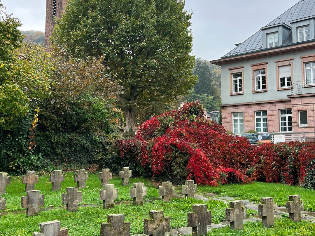 Alte Kapelle景点图片