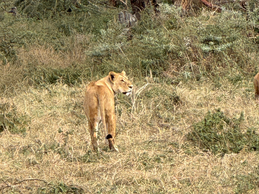 3 Wonders Expeditions-阿鲁沙必去景点
