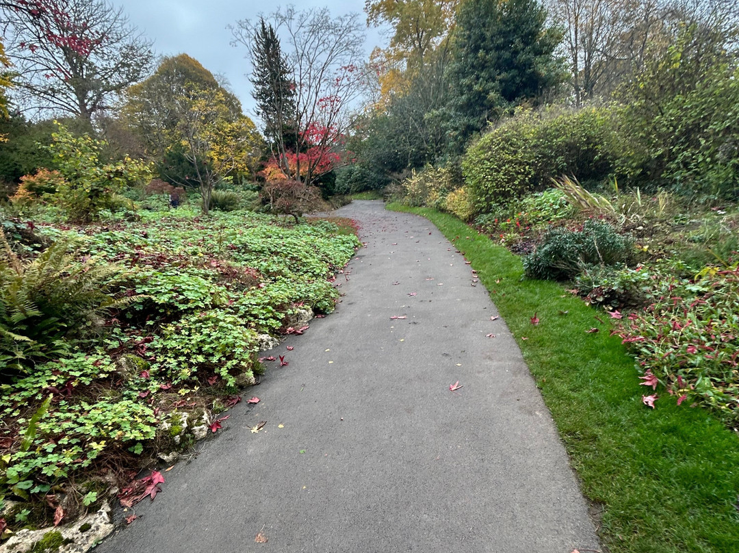 Botanical Gardens at Victoria Park-巴斯必去景点