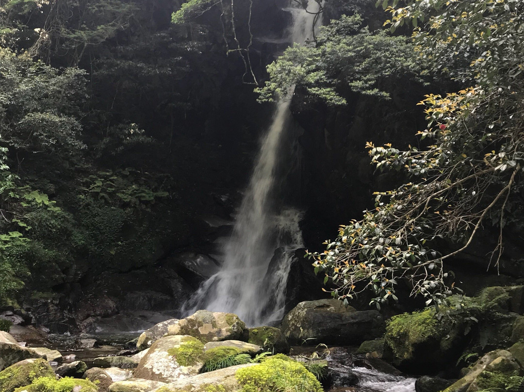 Karan Falls景点图片