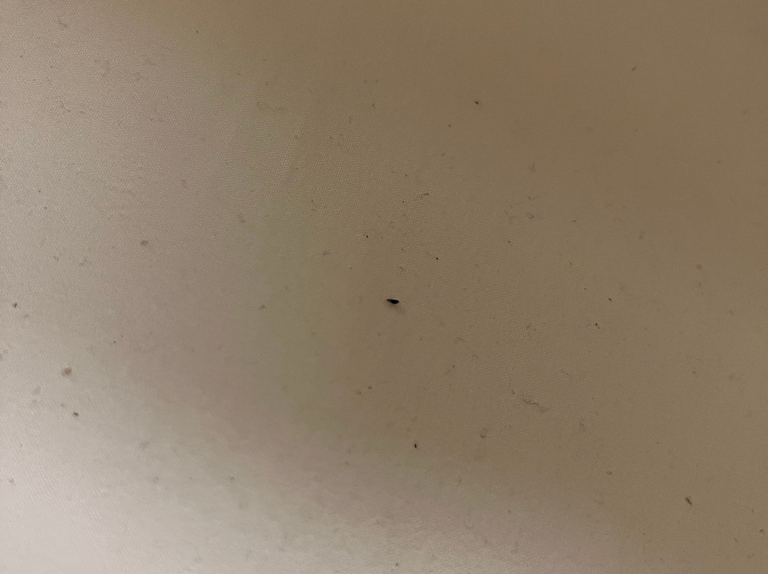 My Place Hotel - Kansas City / Independence, MO主图