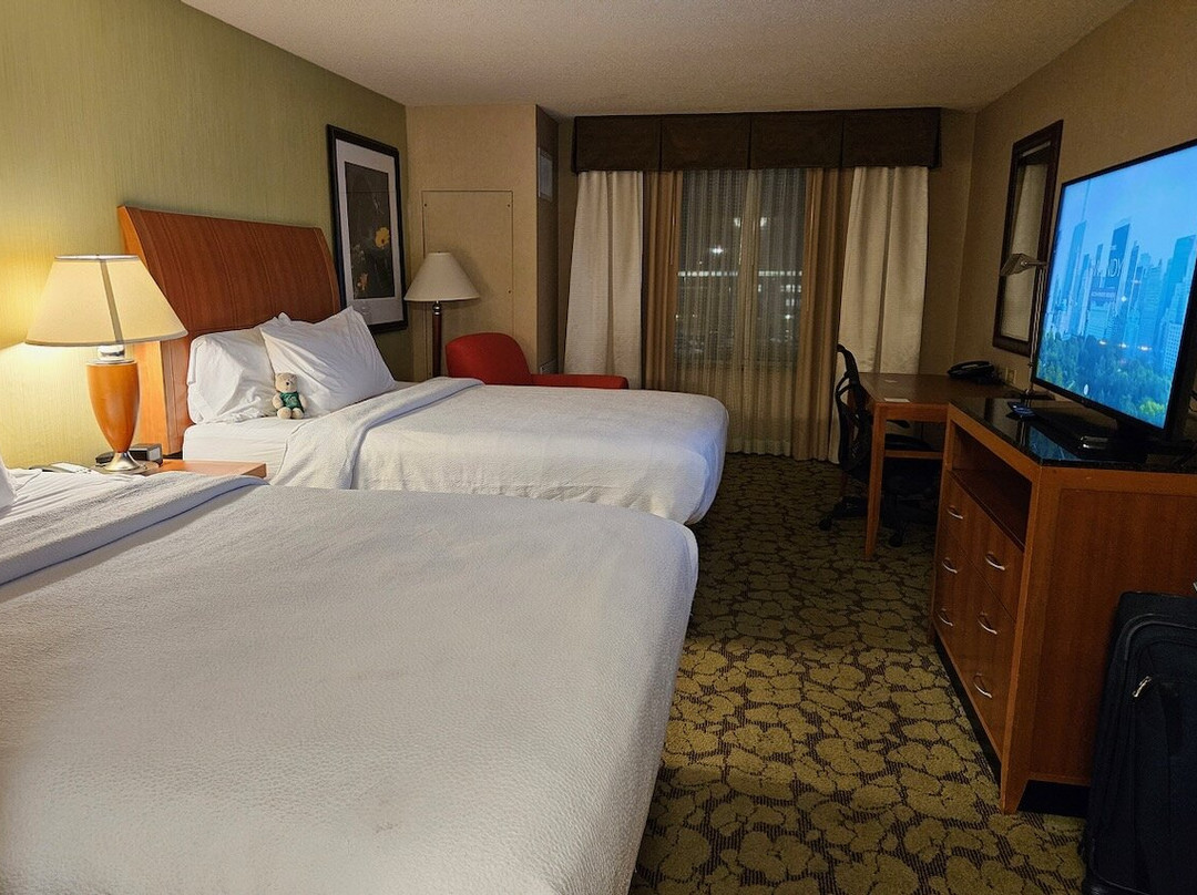 水牛城机场希尔顿花园酒店主图