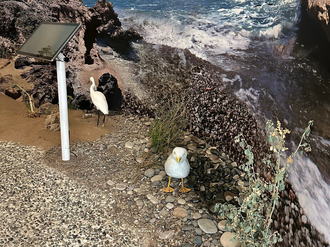 Akamas Avifauna And Flora Visitor Centre-卡西卡斯必去景点