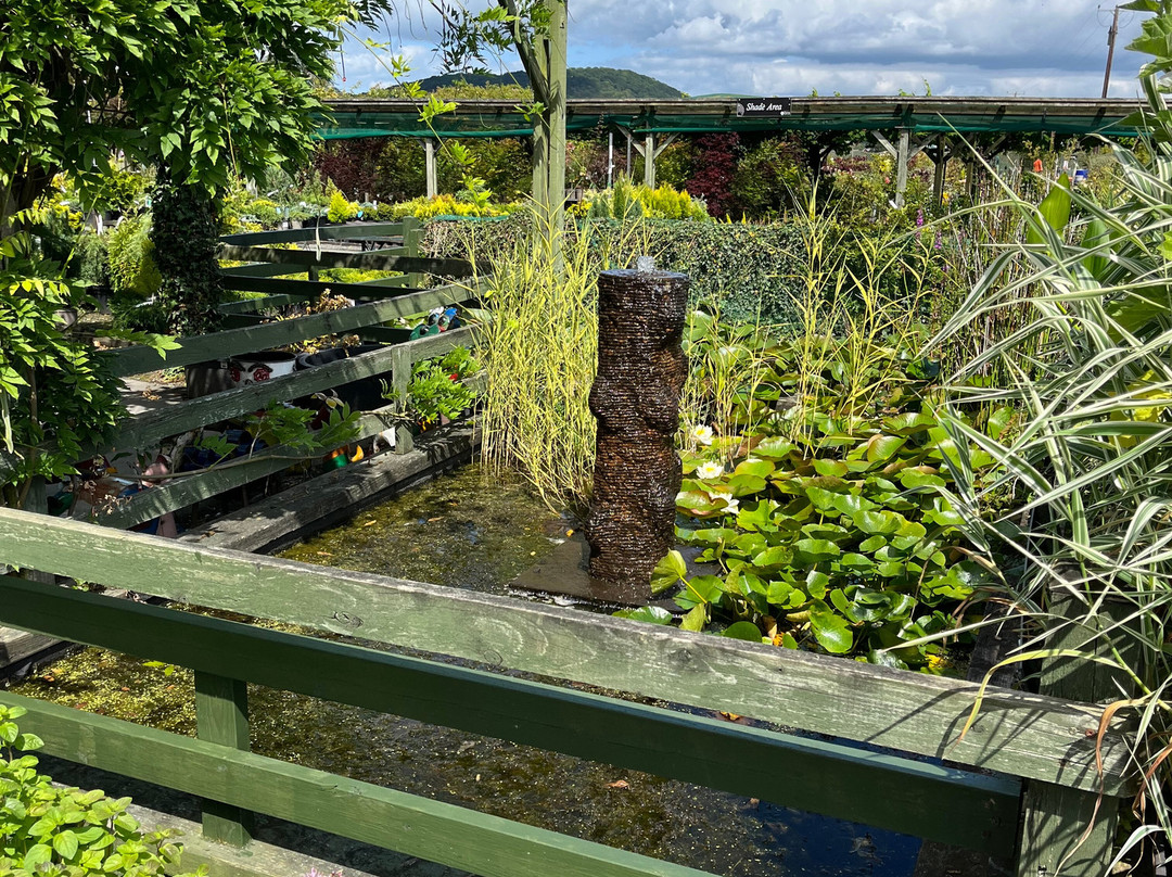 Derwen Garden Centre & Farm Shop景点图片